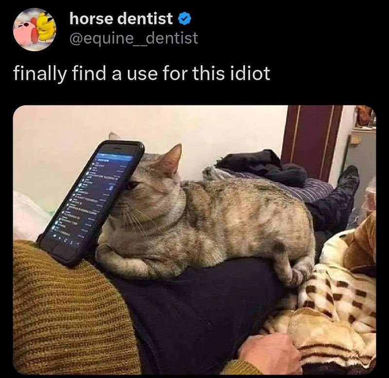 horse dentist ❤ @equine_dentist finally find a use for this idiot