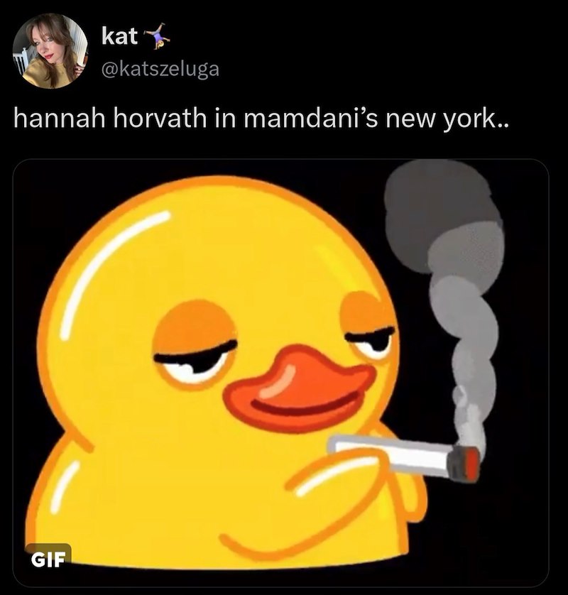 kat @katszeluga hannah horvath in mamdani's new york.. GIF