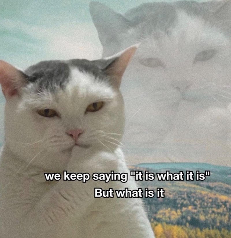 we keep saying "it is what it is" But what is it