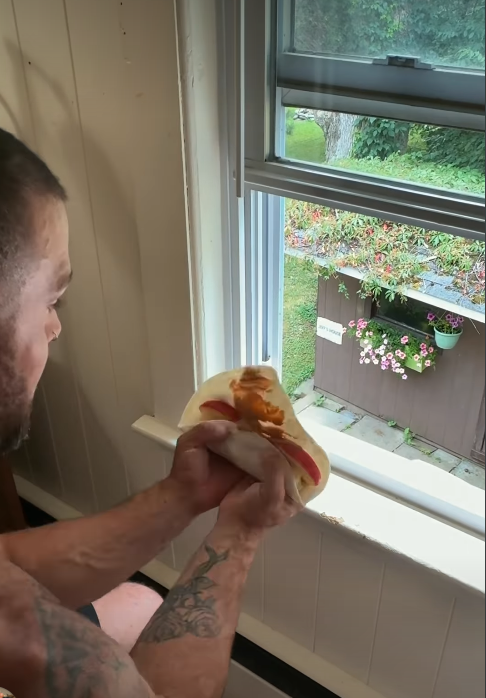Cheezburger Image 10671376384