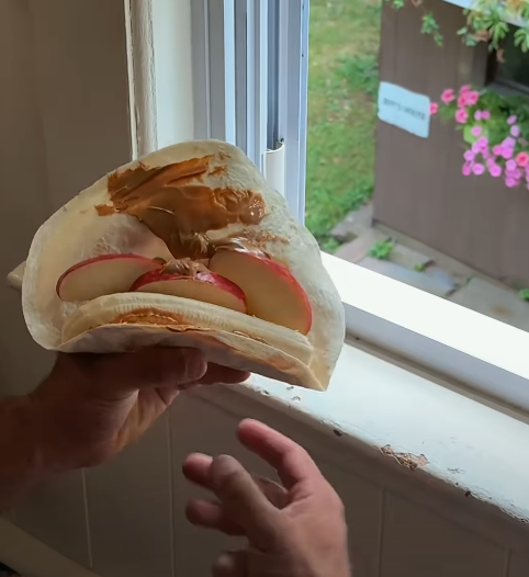 Cheezburger Image 10671377920