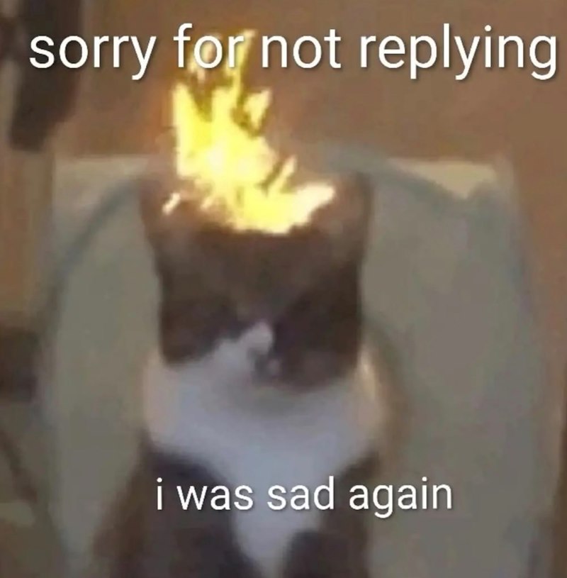 sorry for not replying i was sad again