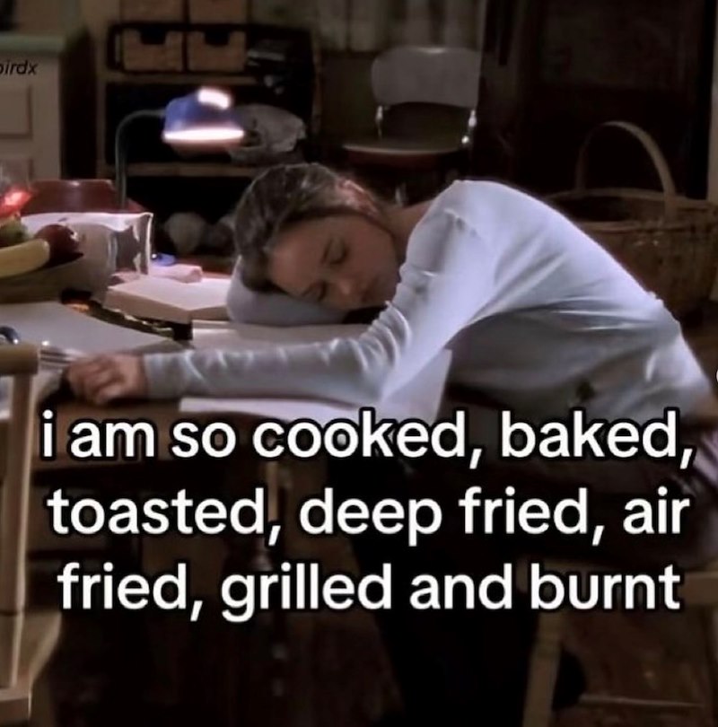 birdx i am so cooked, baked, toasted, deep fried, air fried, grilled and burnt