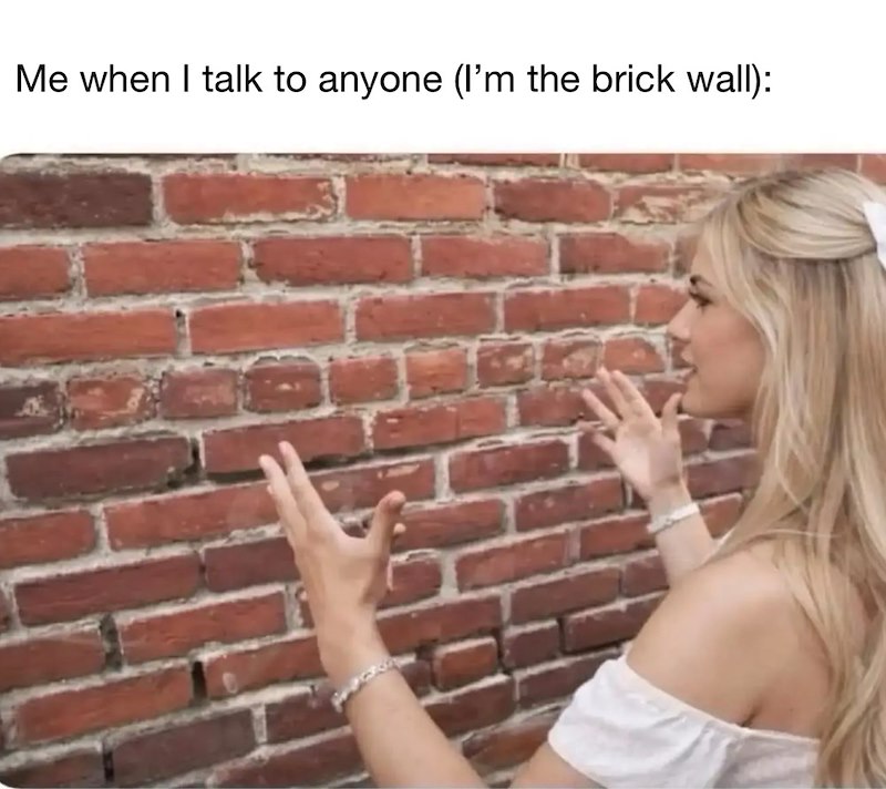 Me when I talk to anyone (I'm the brick wall):