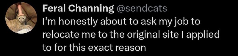 Feral Channing @sendcats I'm honestly about to ask my job to relocate me to the original site I applied to for this exact reason