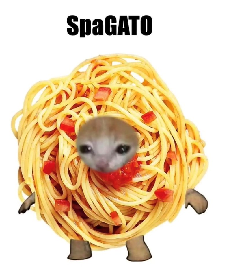 SpaGATO
