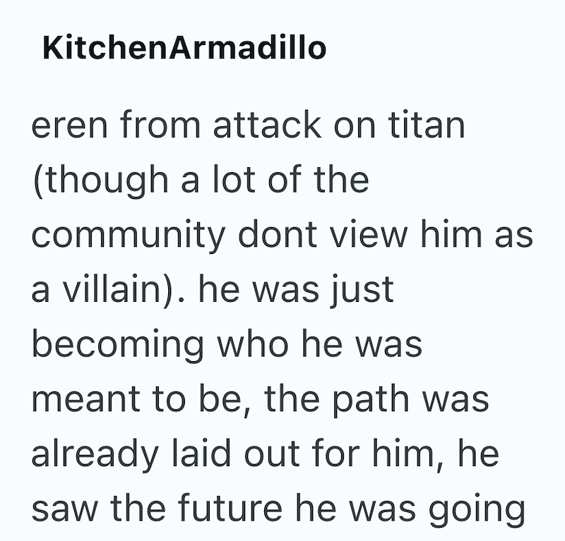 KitchenArmadillo eren from attack on titan (though a lot of the community dont view him as a villain). he was just becoming who he was meant to be, the path was already laid out for him, he saw the future he was going