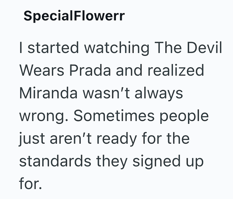 SpecialFlowerr I started watching The Devil Wears Prada and realized Miranda wasn't always wrong. Sometimes people just aren't ready for the standards they signed up for.
