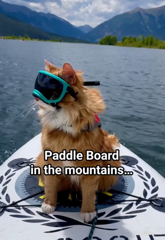 Paddle Board in the mountains...