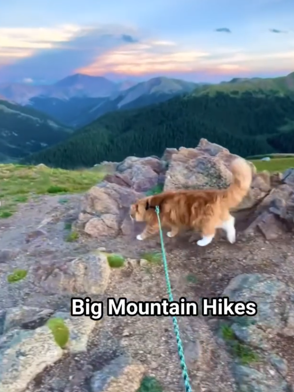 Big Mountain Hikes