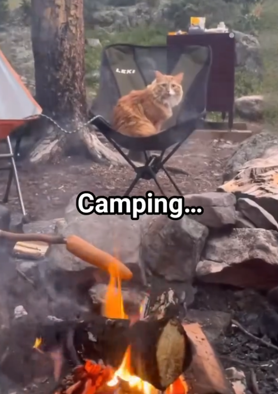 LEKI Camping...
