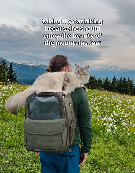 taking my cat hiking because he should enjoy the beauty of the mountains too: