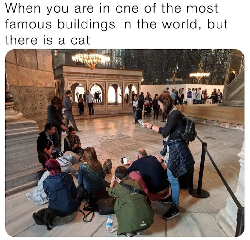 When you are in one of the most famous buildings in the world, but there is a cat ROW
