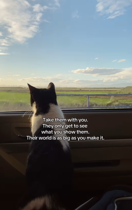 Take them with you. They only get to see what you show them. Their world is as big as you make it.