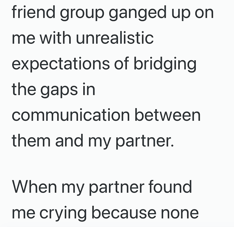 friend group ganged up on me with unrealistic expectations of bridging. the gaps in communication between them and my partner. When my partner found me crying because none