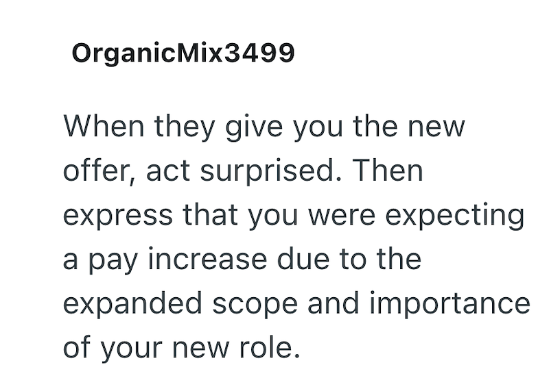 OrganicMix3499 When they give you the new offer, act surprised. Then express that you were expecting a pay increase due to the expanded scope and importance of your new role.