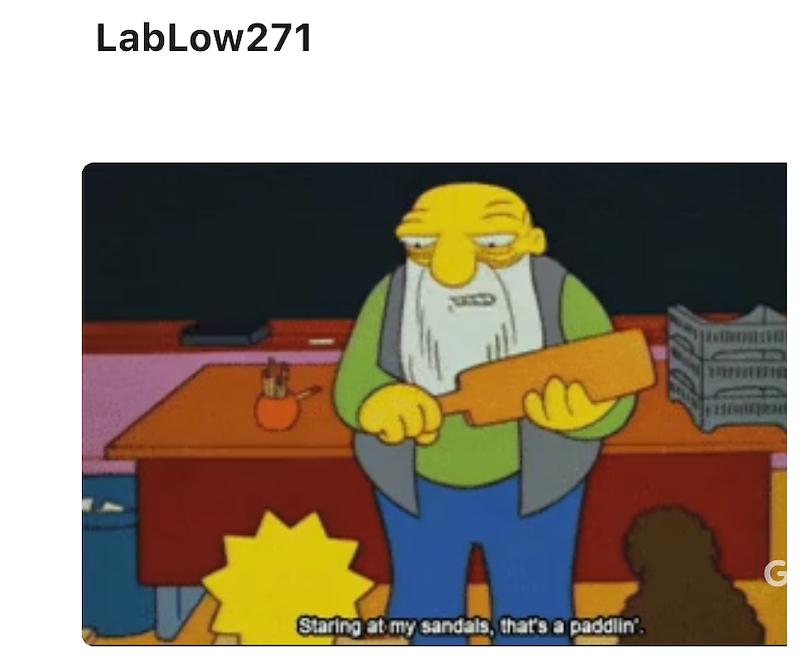 LabLow271 Staring at my sandals, that's a paddlin'.