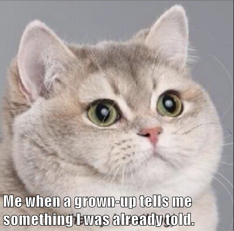 Me when a grown-up tells me something I was already told.