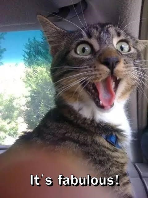 It's fabulous!