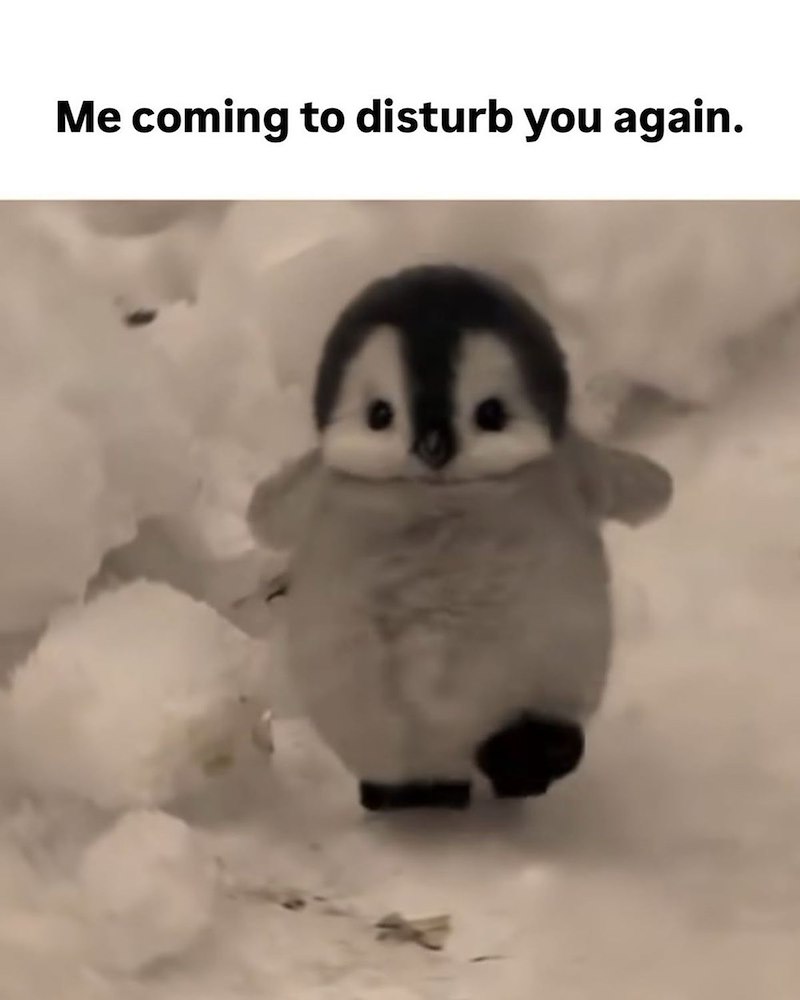 Me coming to disturb you again.