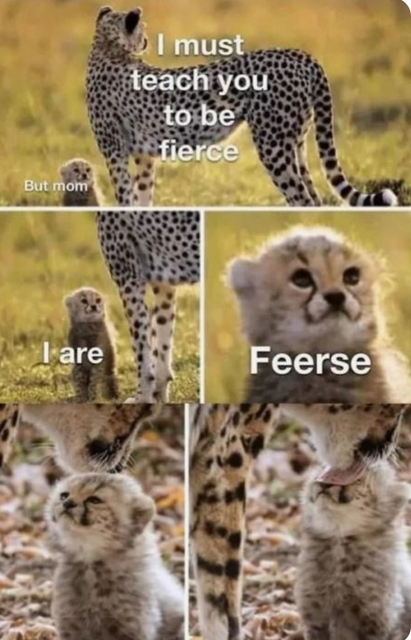 But mom I must teach you to be fierce I are Feerse
