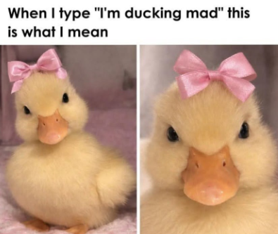 When I type "I'm ducking mad" this is what I mean