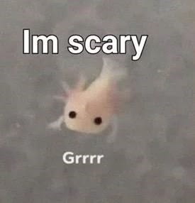 Im scary Grrrr