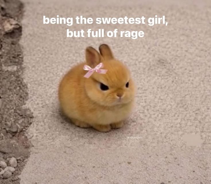 being the sweetest girl, but full of rage nikkisapin