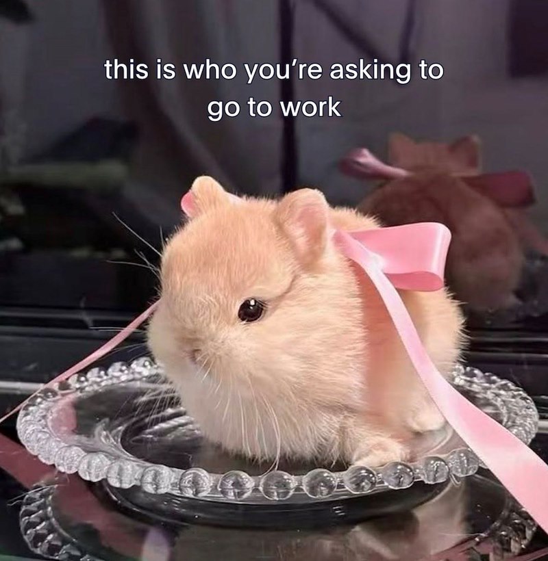 this is who you're asking to go to work 000