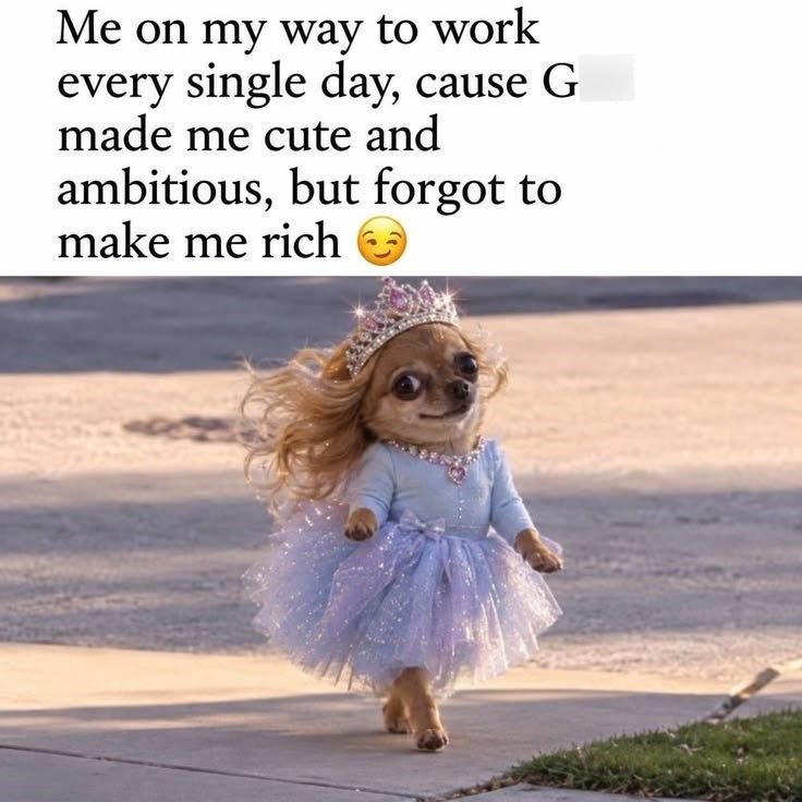 Me on my way to work every single day, cause G made me cute and ambitious, but forgot to make me rich