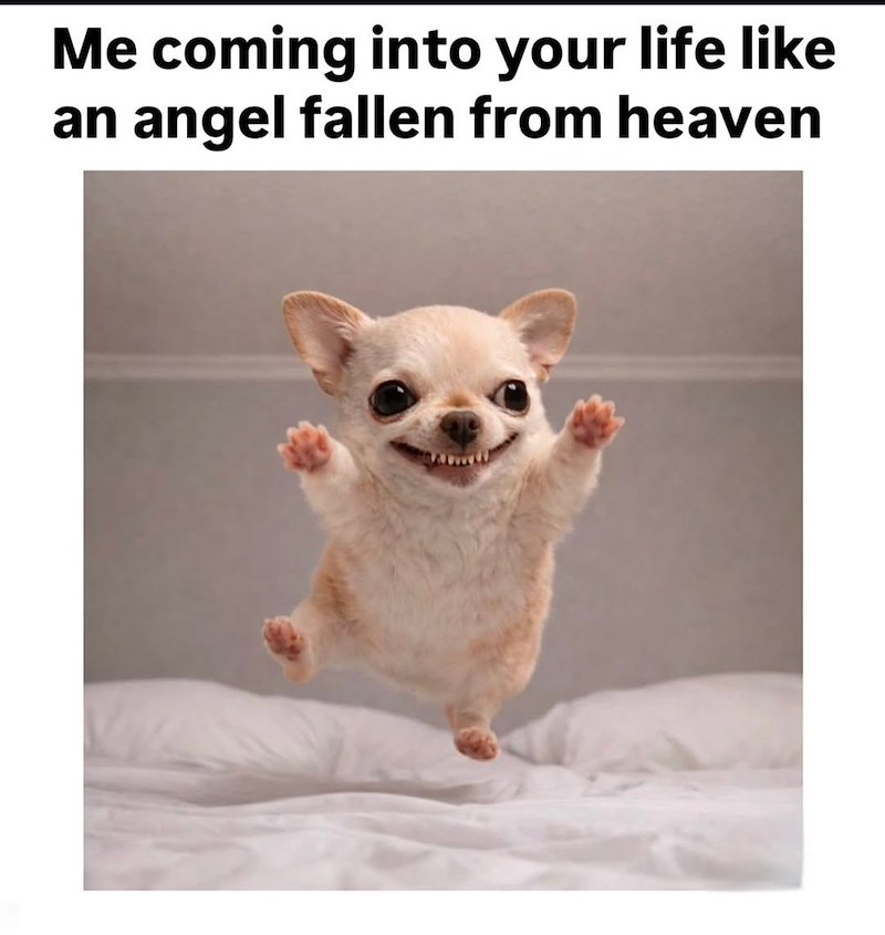 Me coming into your life like an angel fallen from heaven