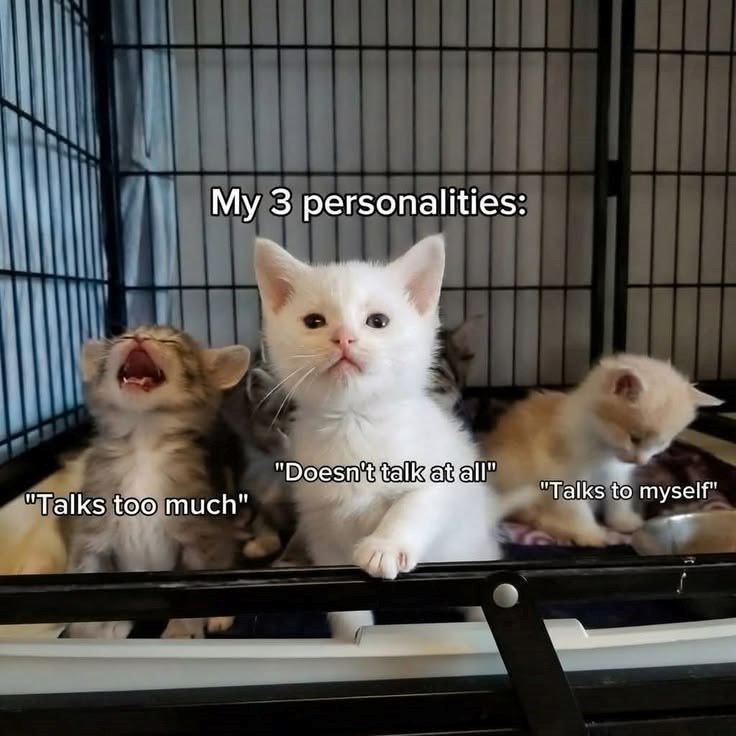 My 3 personalities: "Doesn't talk at all" "Talks to myself" "Talks too much"