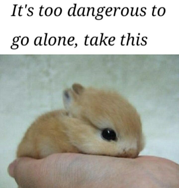 It's too dangerous to go alone, take this