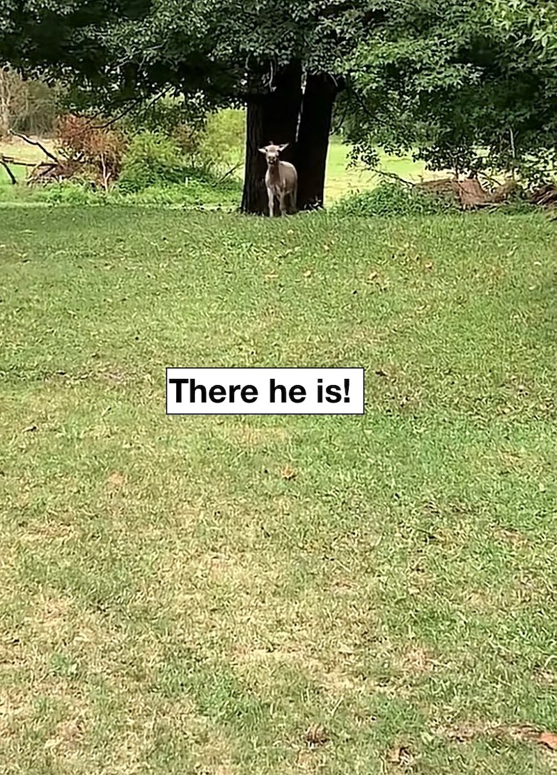 There he is!