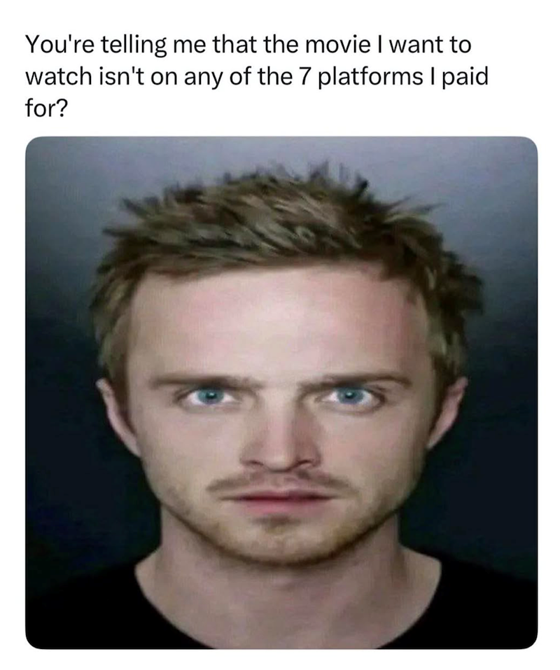 You're telling me that the movie I want to watch isn't on any of the 7 platforms I paid for?