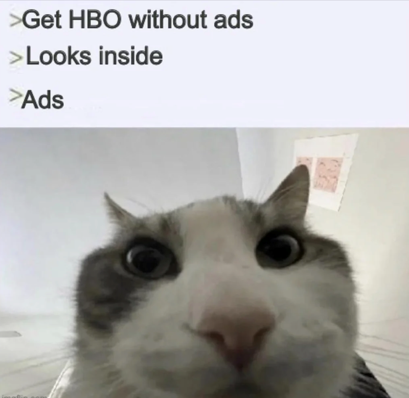 >Get HBO without ads >Looks inside >Ads