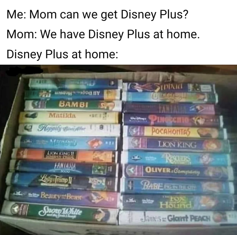 Me: Mom can we get Disney Plus? Mom: We have Disney Plus at home. Disney Plus at home: Sinbad BAMBI Matilda FANIAL PINOCCHIO C Happily Aller * POCAHONTAS LION KING LION KING ! FANIAXIA 2000 Lady Tramp II Beauty Beas All Snow White RESOVERS OLIVER Company 4. BABE FIG IN THE CITY rox Hound James Glant PEACH