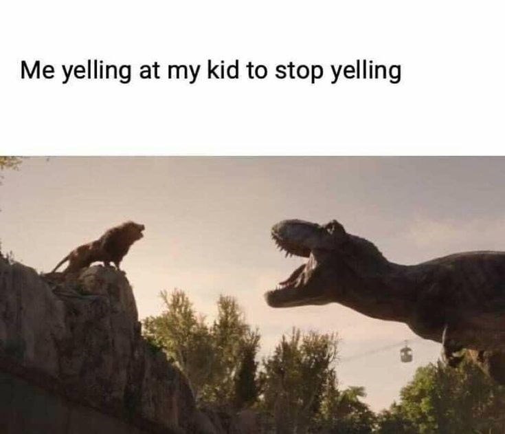 Me yelling at my kid to stop yelling