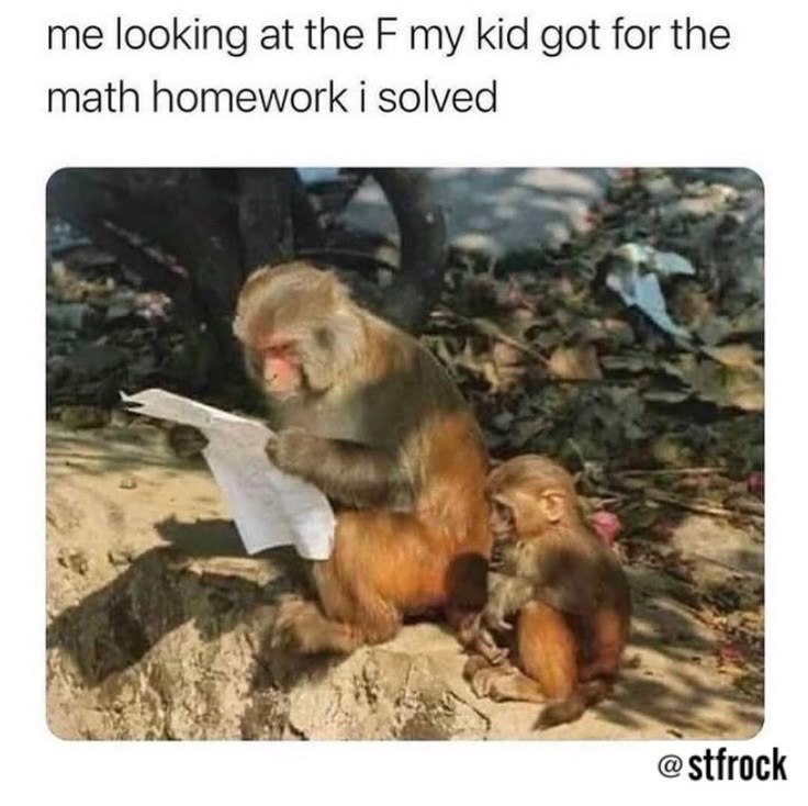 me looking at the F my kid got for the math homework i solved @stfrock