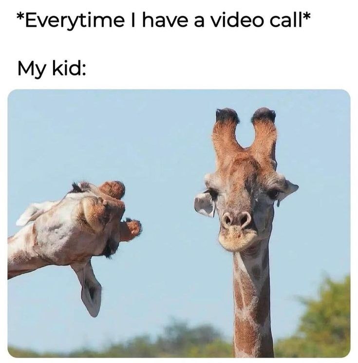 *Everytime I have a video call* My kid: