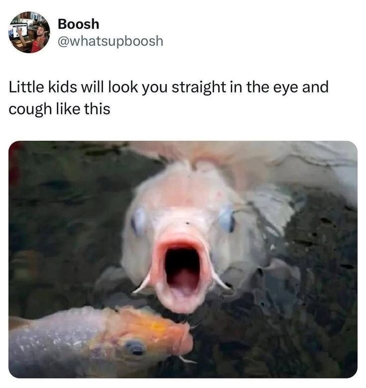 Boosh @whatsupboosh Little kids will look you straight in the eye and cough like this