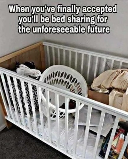When you've finally accepted you'll be bed sharing for the unforeseeable future
