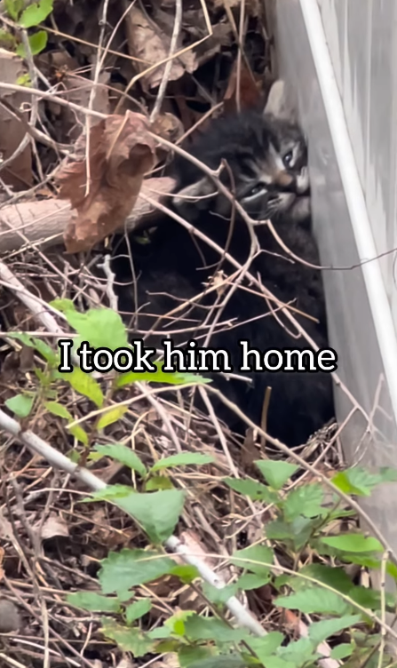 I took him home