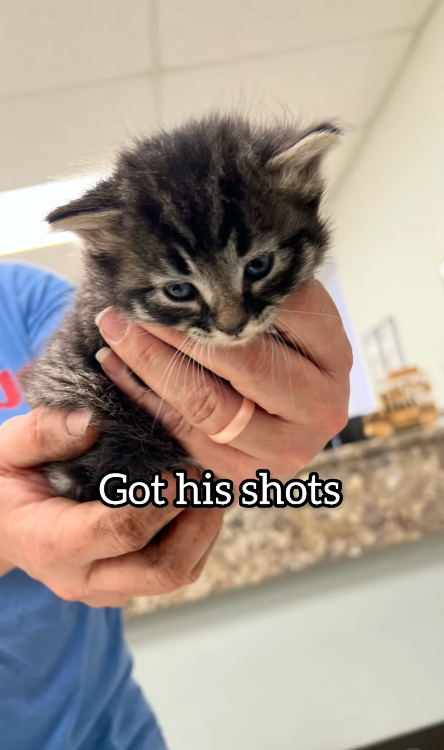 Got his shots