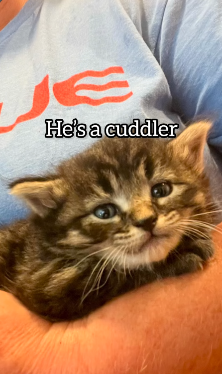 He's a cuddler