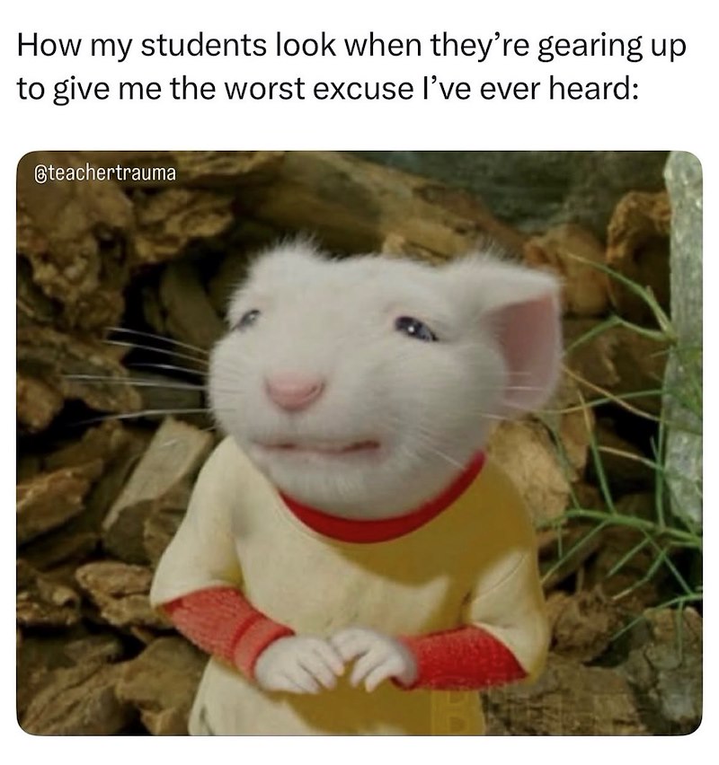 How my students look when they're gearing up to give me the worst excuse I've ever heard: @teachertrauma