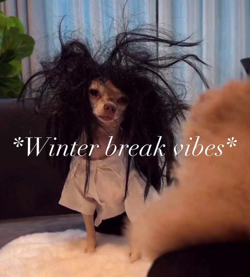 *Winter break vibes*