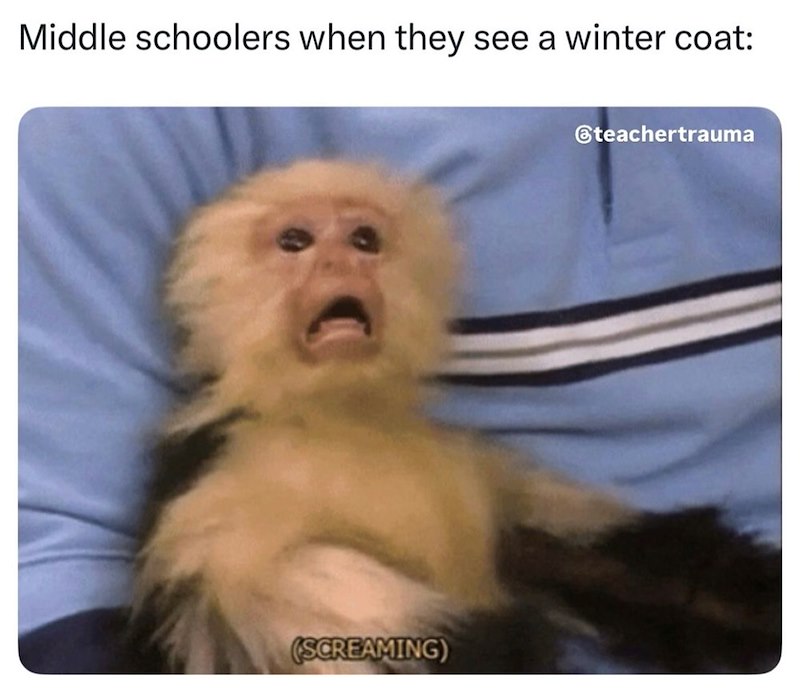 Middle schoolers when they see a winter coat: (SCREAMING) @teachertrauma