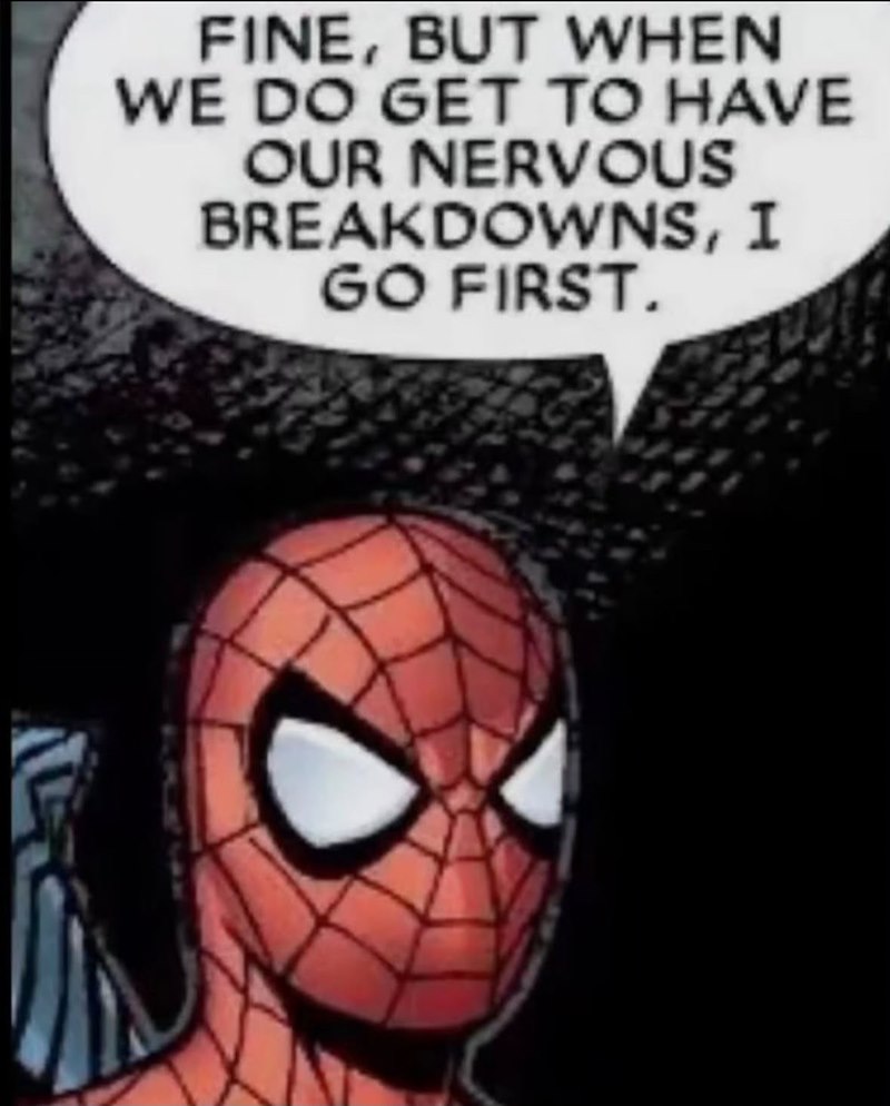FINE, BUT WHEN WE DO GET TO HAVE OUR NERVOUS BREAKDOWNS, I GO FIRST.