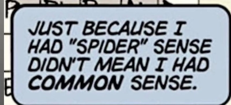 JUST BECAUSE I HAD "SPIDER" SENSE DIDN'T MEAN I HAD COMMON SENSE.